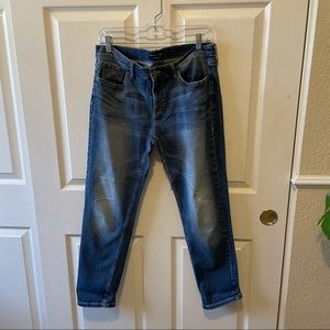 Banana Republic Girlfriend Jean
